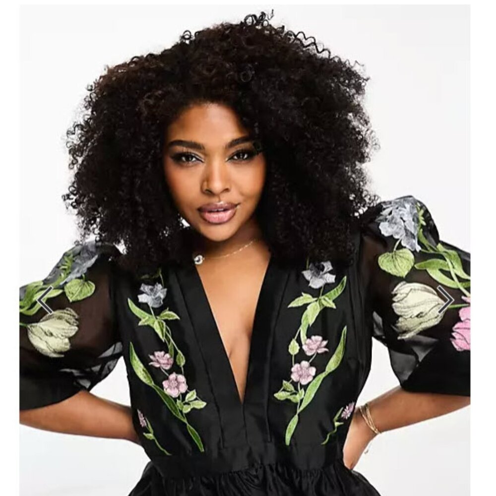 🌸NWT🌸 Organza short sleeve mini dress with floral embroidery